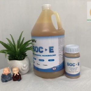 Vi sinh xử lý dầu mỡ BIOFIX GREASE