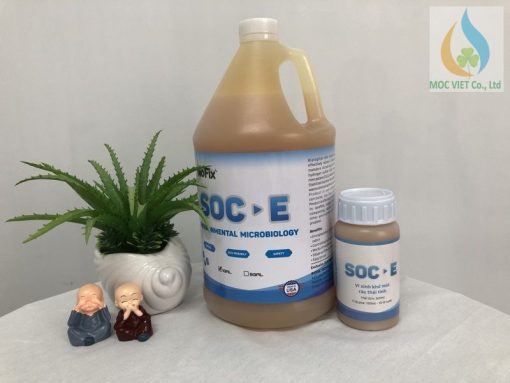 Vi sinh xử lý dầu mỡ BIOFIX GREASE